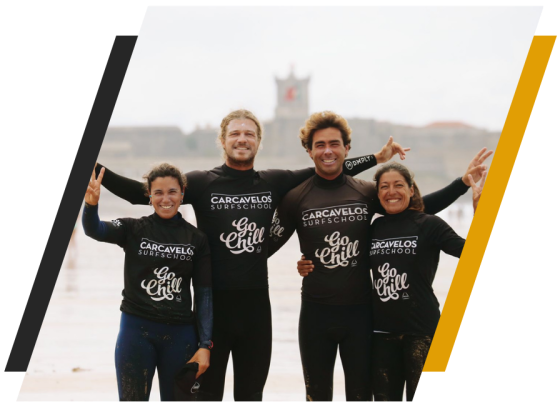 graphical user interface, website